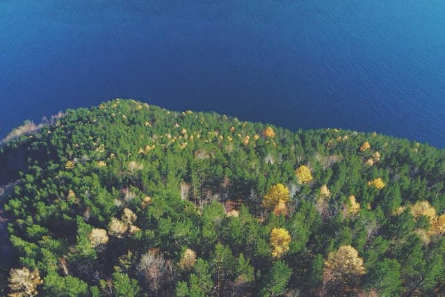 Social Media Graphics